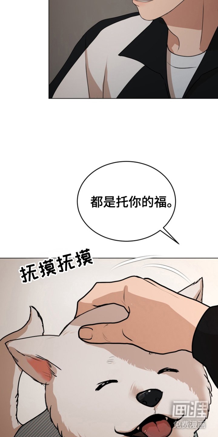 第18章：命令