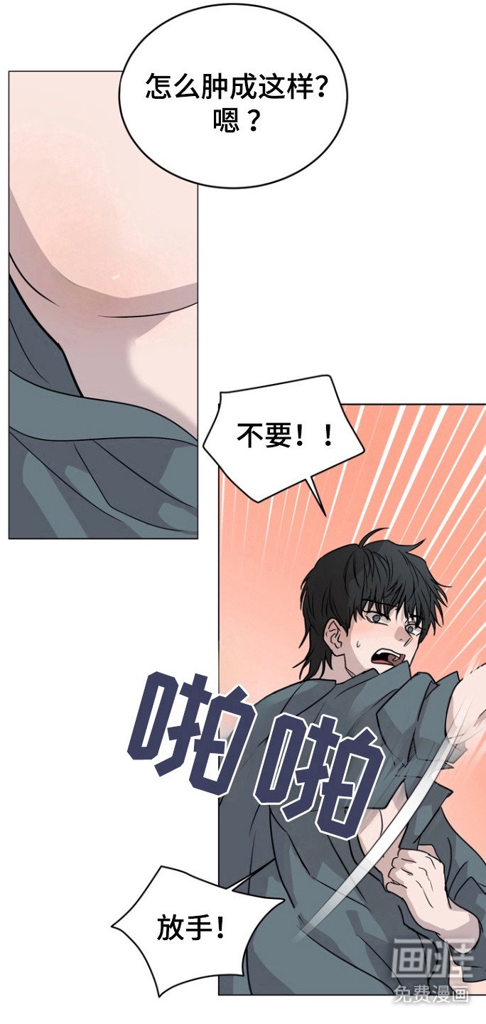 第43章：选择我（第一季完结）