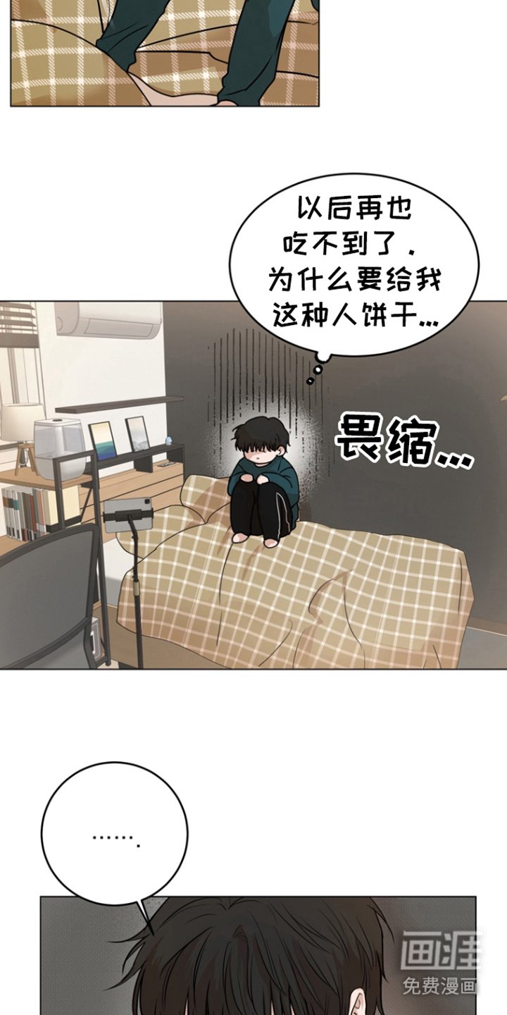 第7章：区别对待