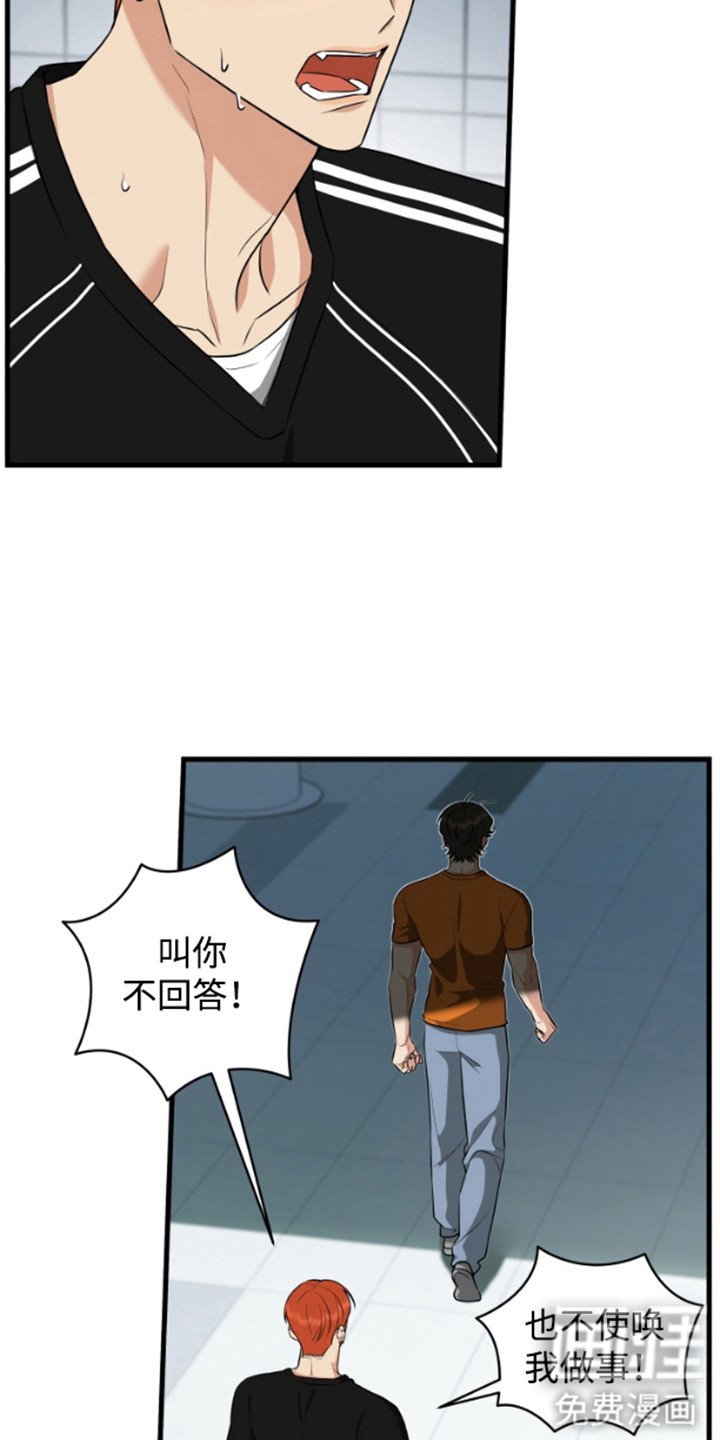第11章：无视