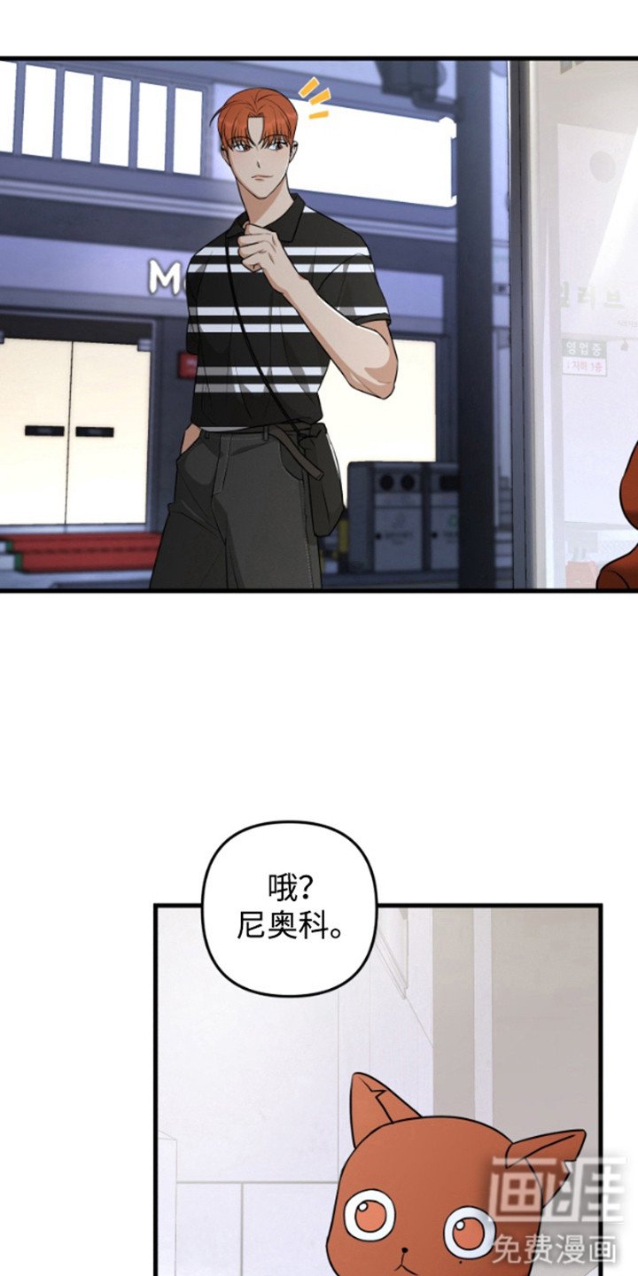 第12章：奇怪的举动