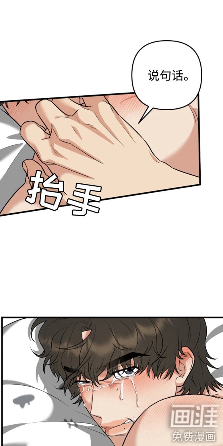第13章：到此为止
