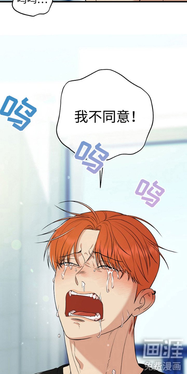 第14章：不同意