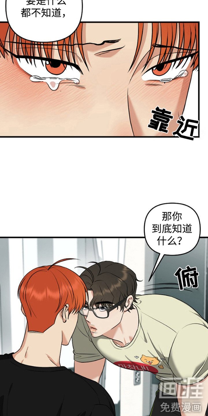 第15章：合约更新（完结）