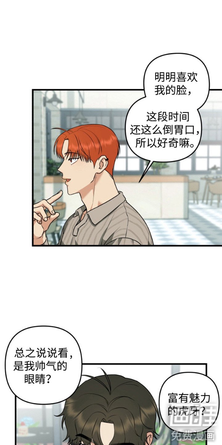第8章：长得很像