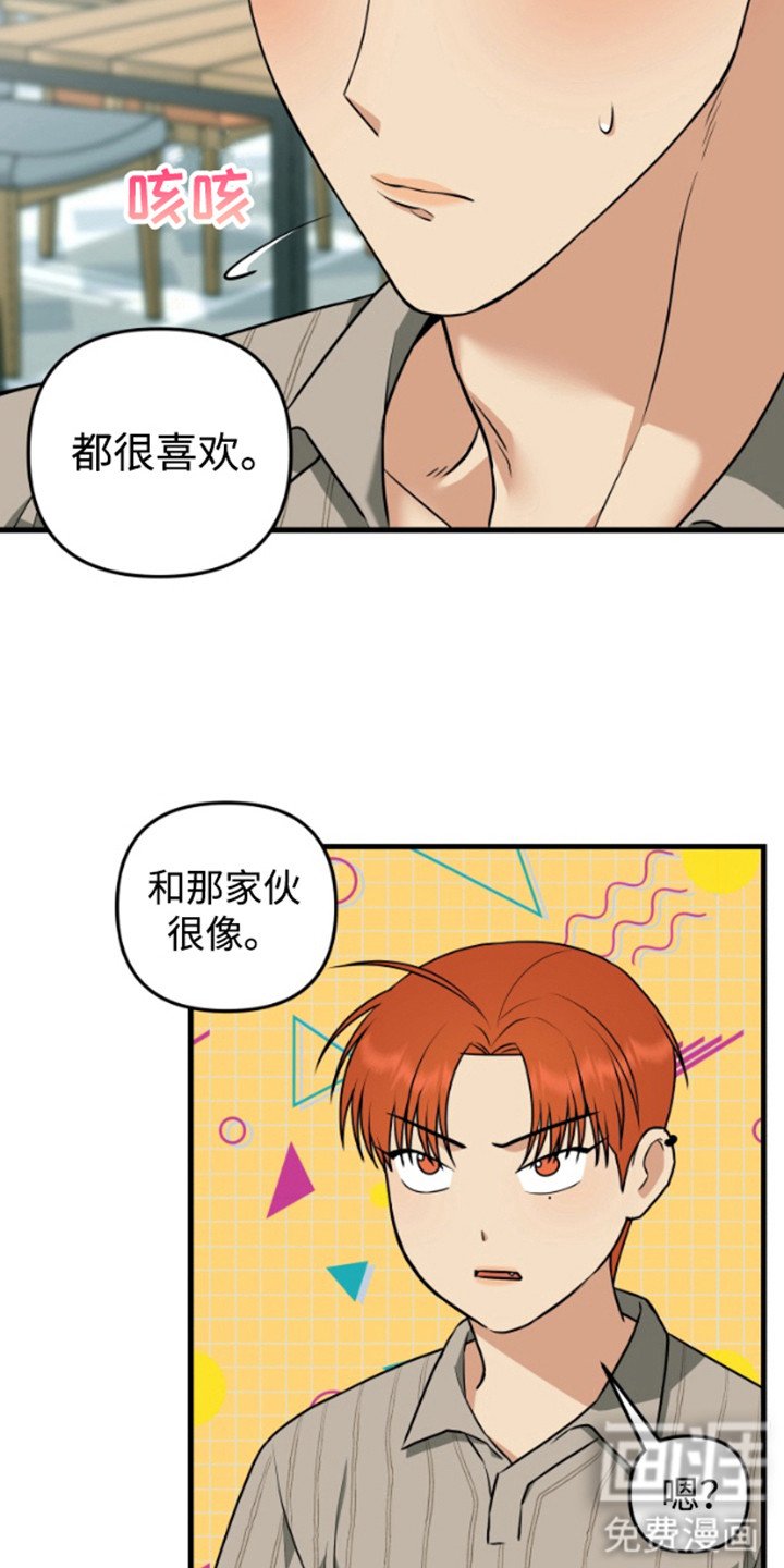 第8章：长得很像
