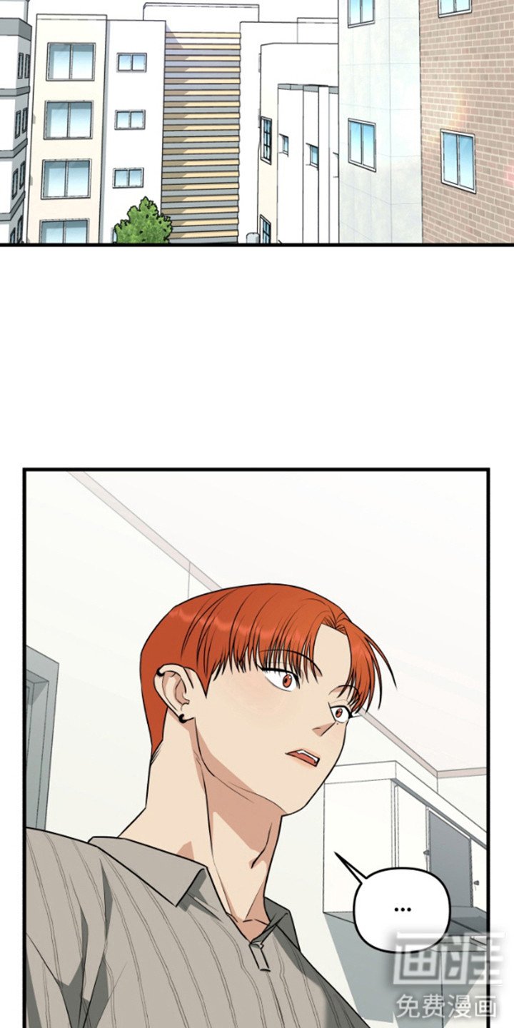 第8章：长得很像