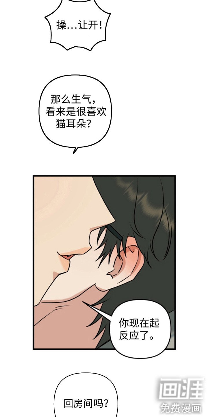 第9章：猫耳朵