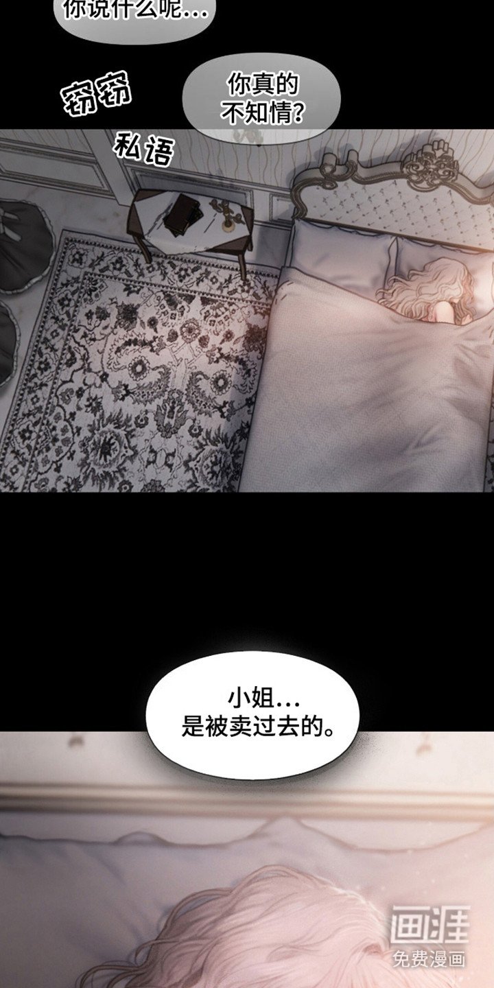第1章：议论