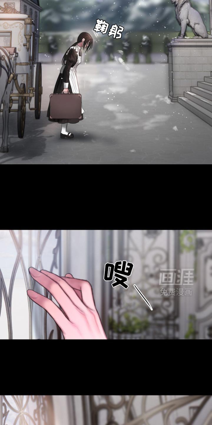 第26章：打扮成最美的人