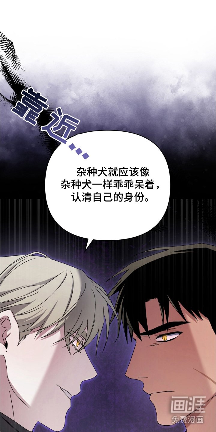 第13章：老眼昏花