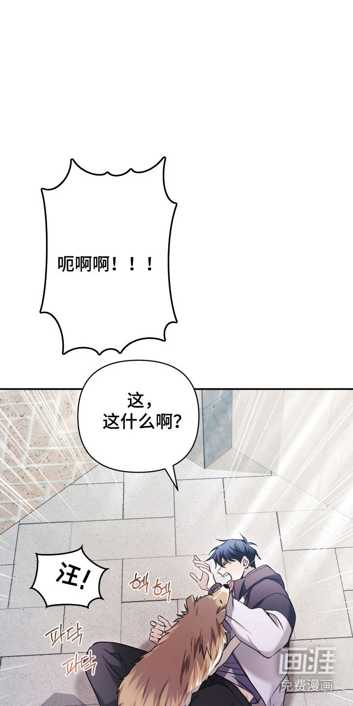 第23章：薏米