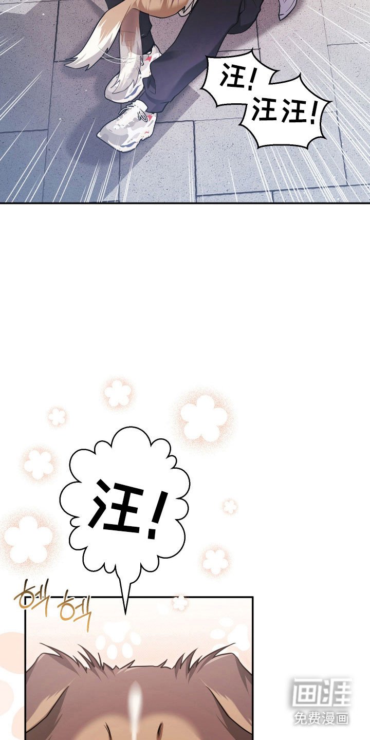 第23章：薏米