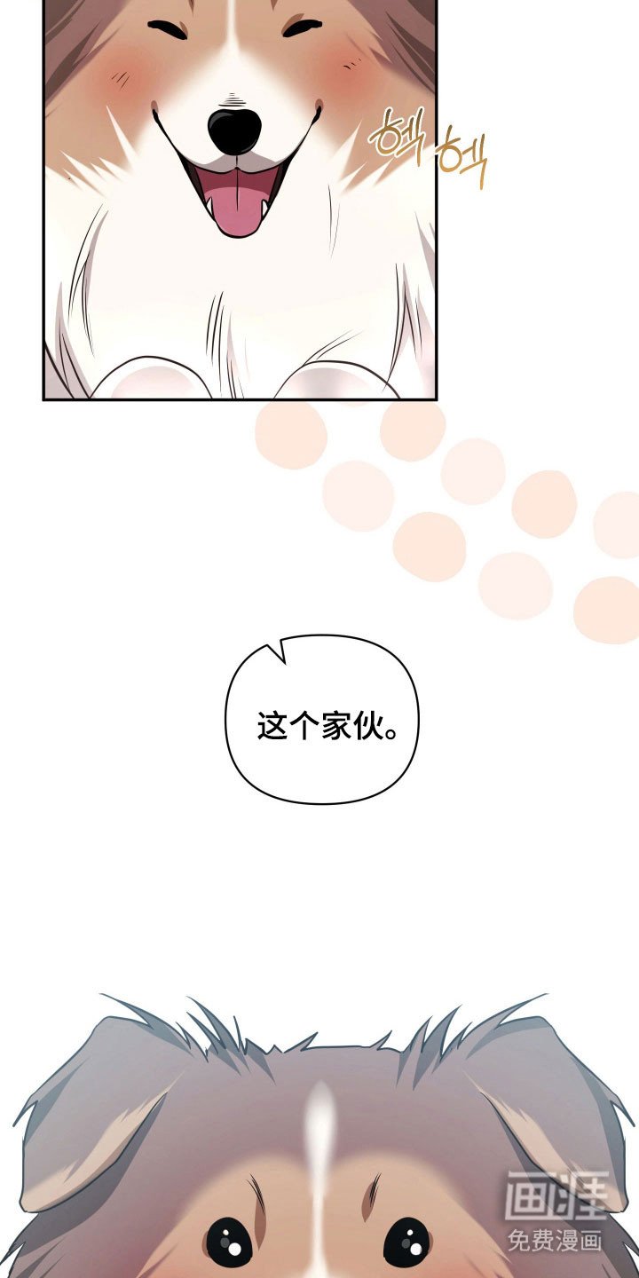 第23章：薏米