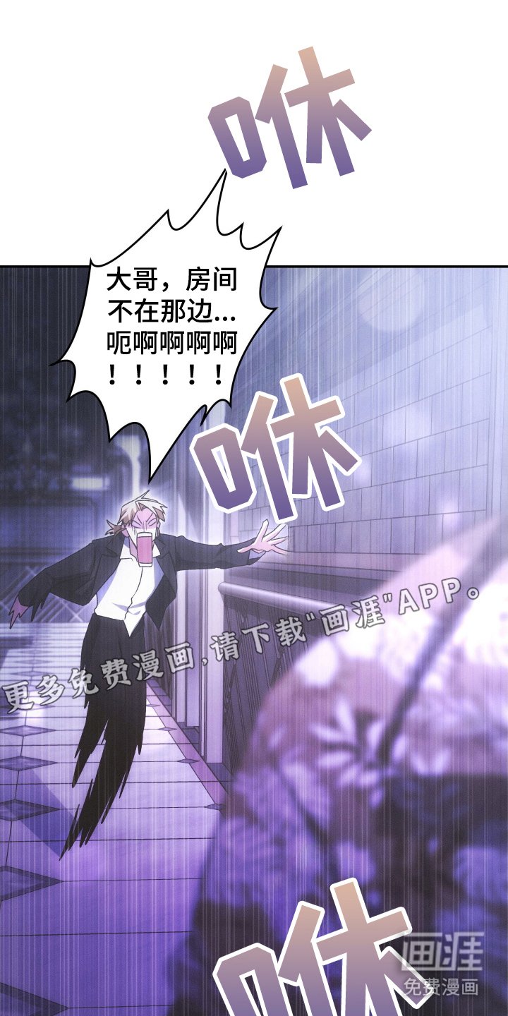 第5章：大哥