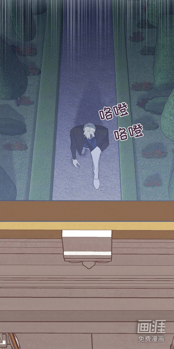 第10章：白葡萄酒