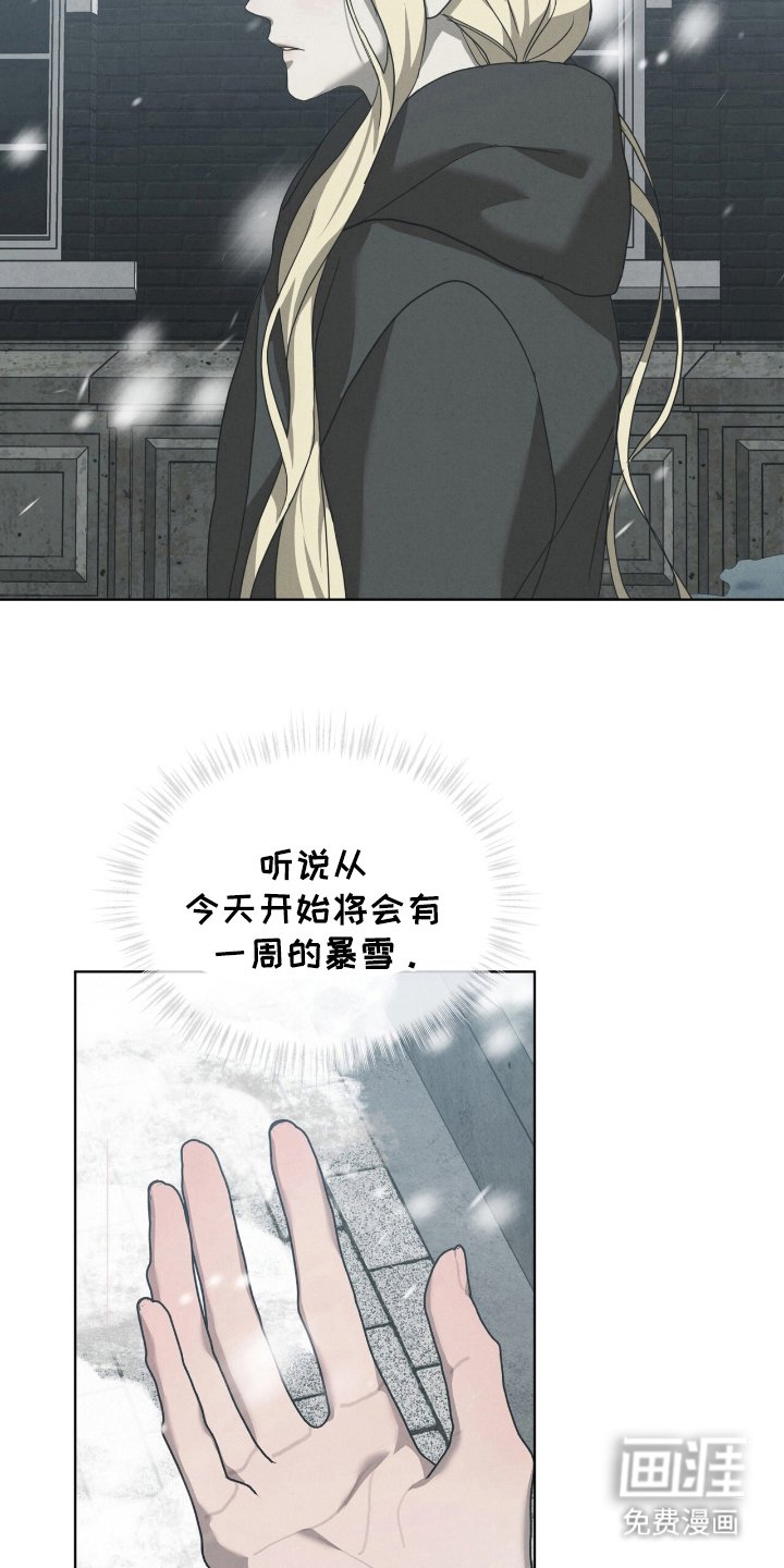 第20章：是我输了？