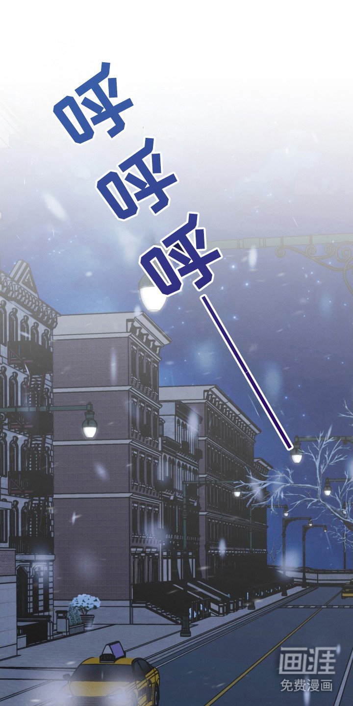 第28章：特殊取向