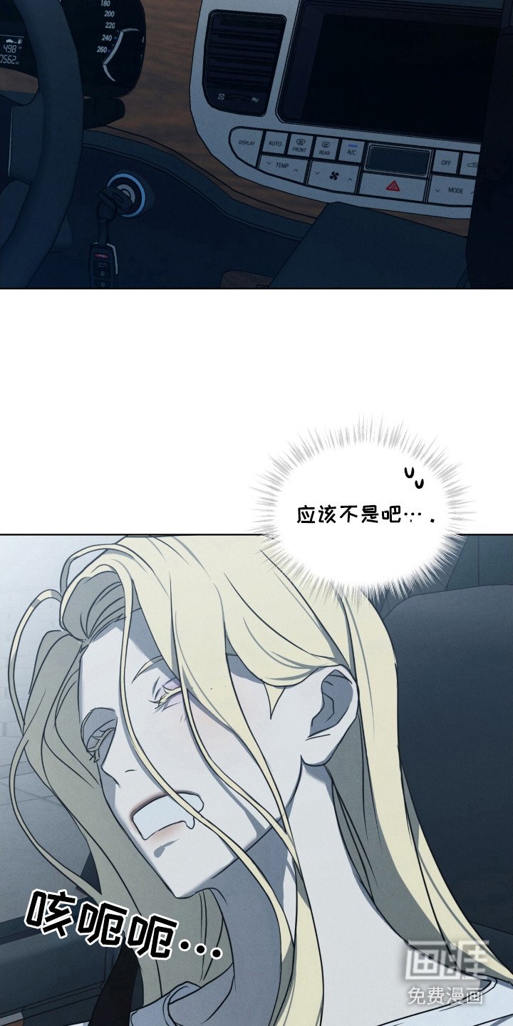 第28章：特殊取向