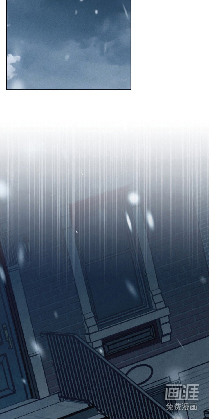 第28章：特殊取向