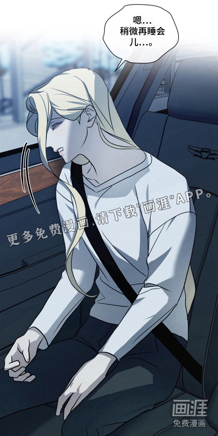 第28章：特殊取向