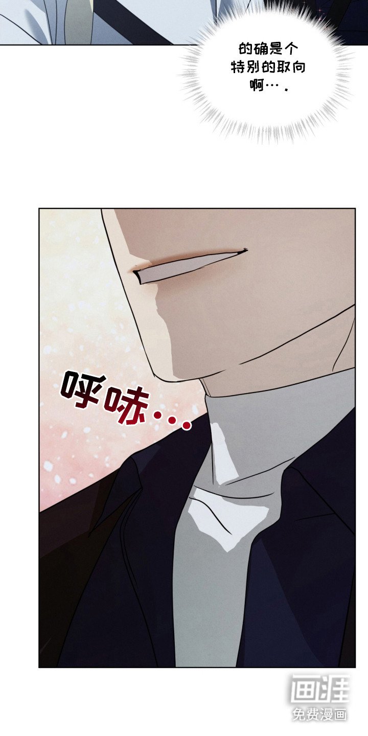 第28章：特殊取向