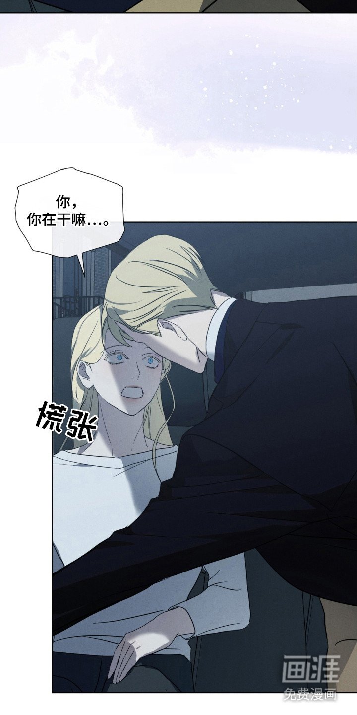第28章：特殊取向