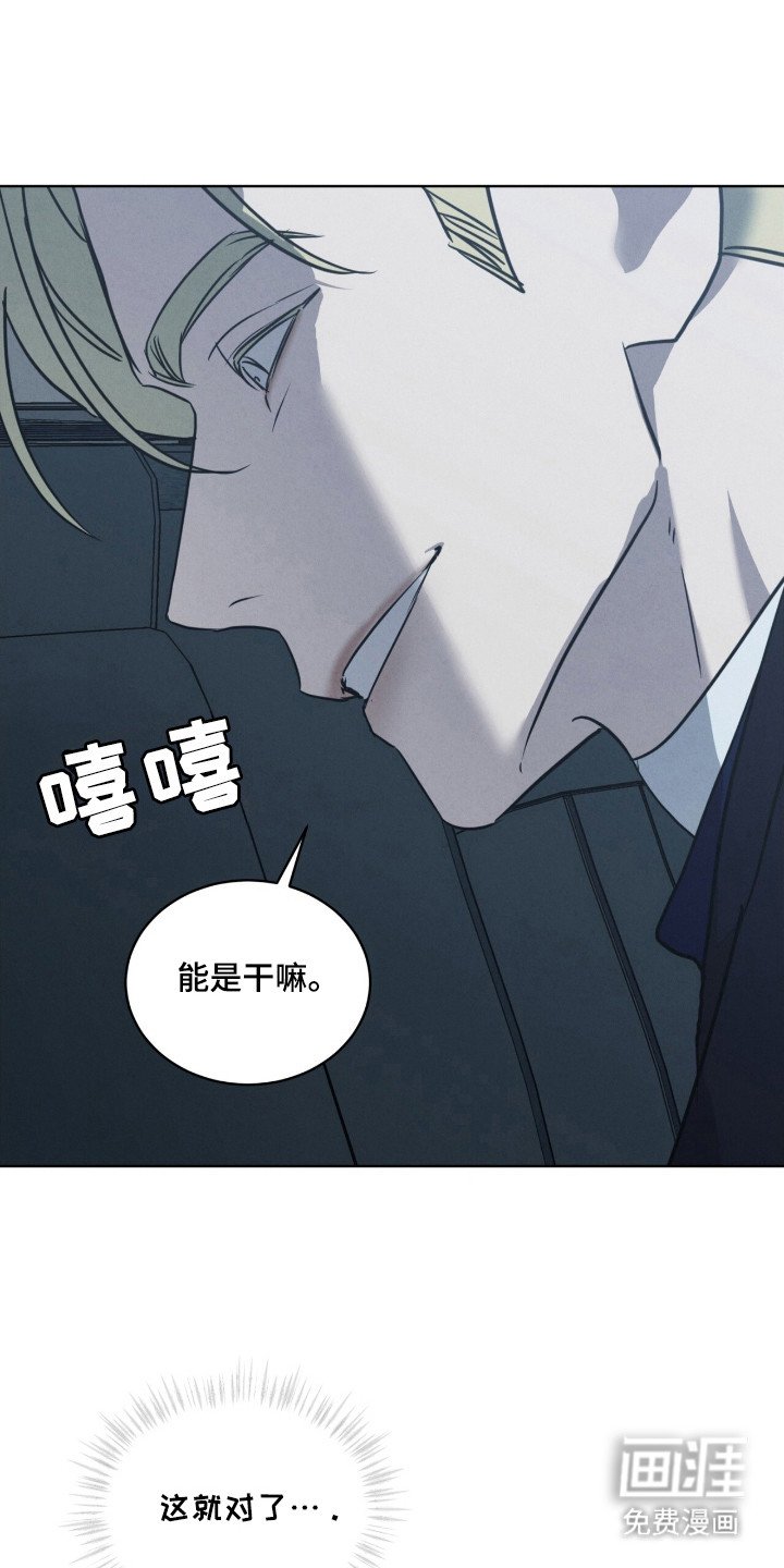 第28章：特殊取向