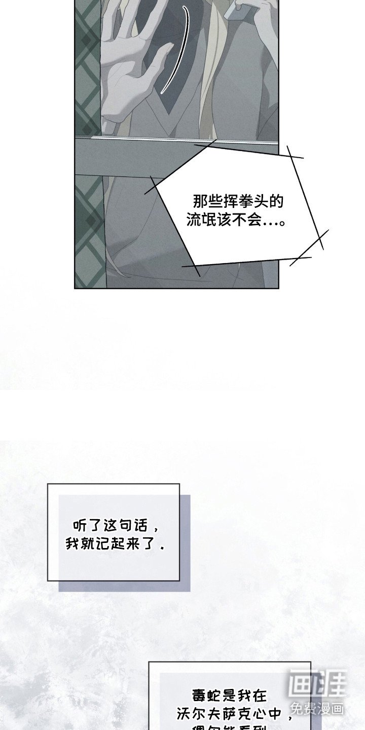 第43章：毒蛇