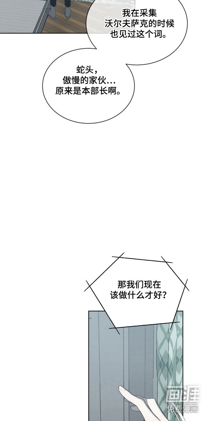第43章：毒蛇