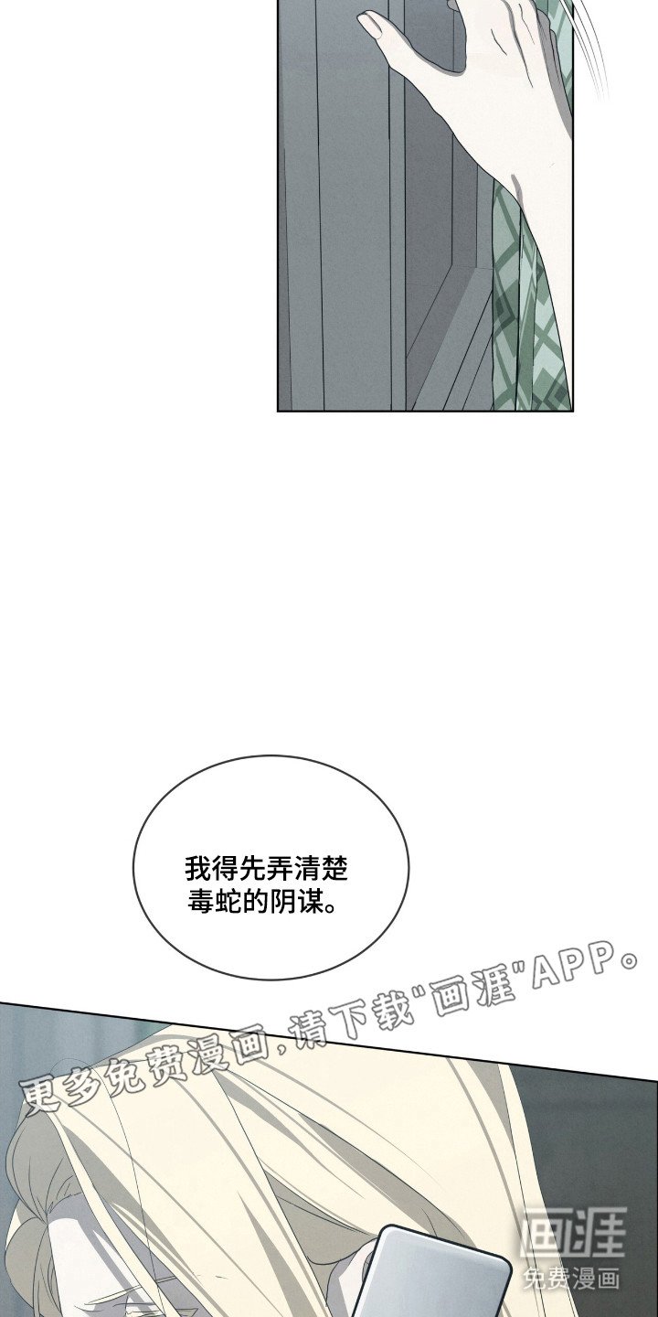 第43章：毒蛇