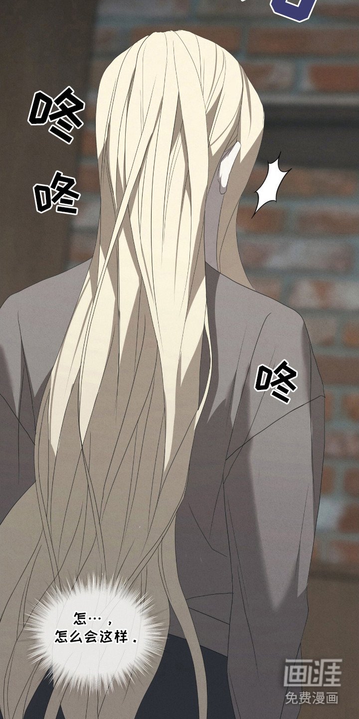 第43章：毒蛇