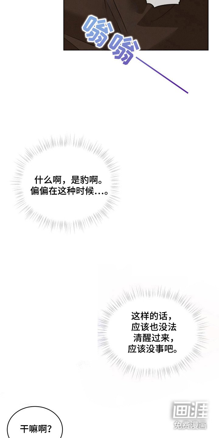 第45章：综合体检