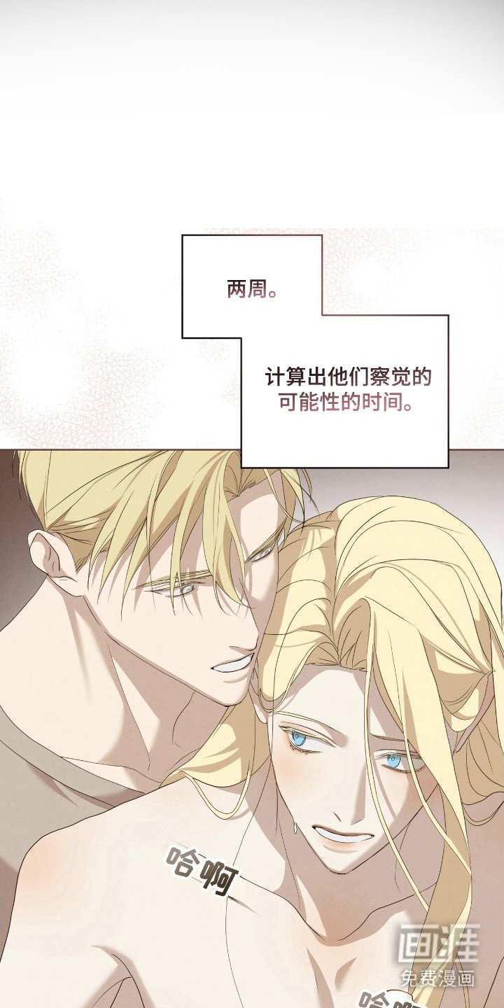 第45章：综合体检