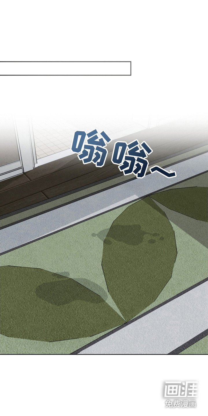 第45章：综合体检