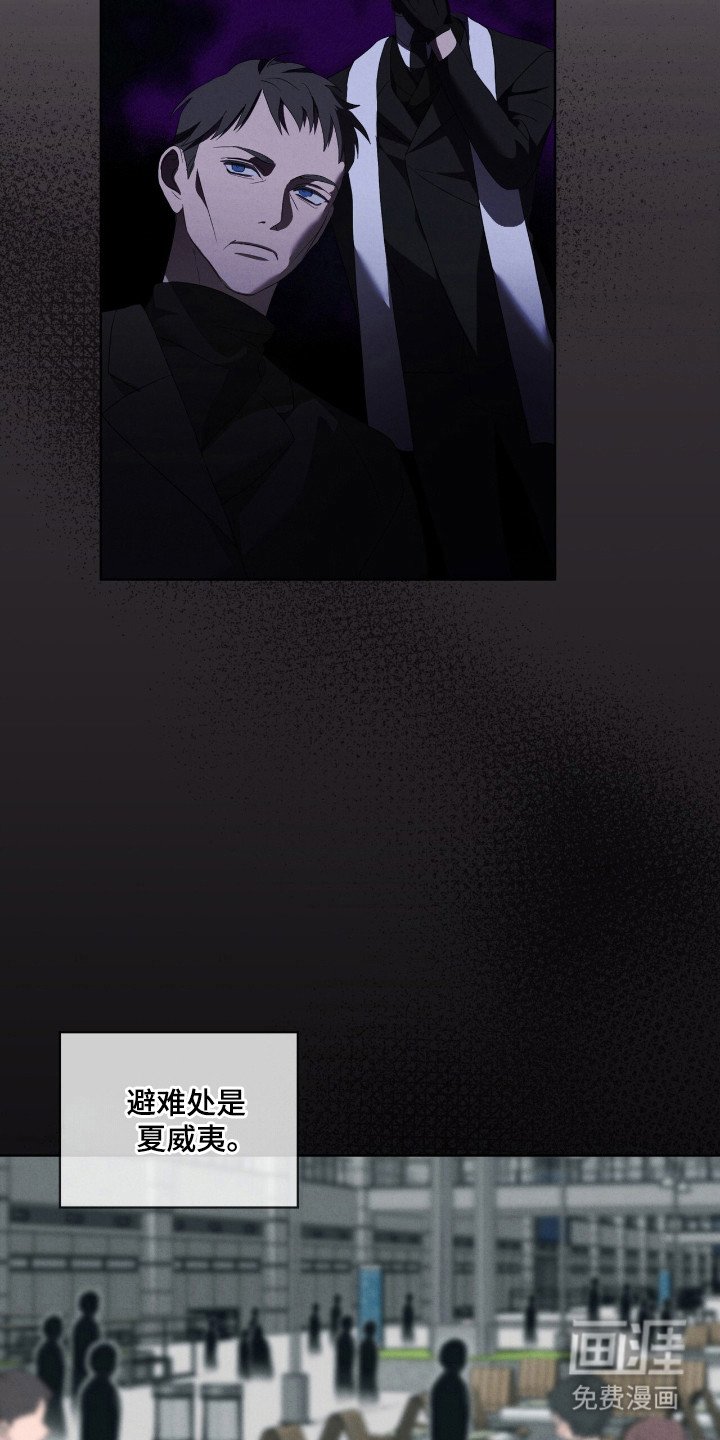 第47章：毒蛇交手