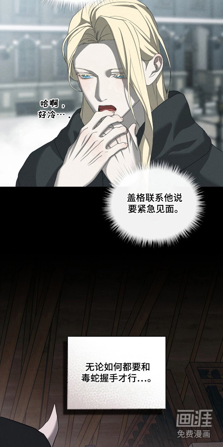 第47章：毒蛇交手