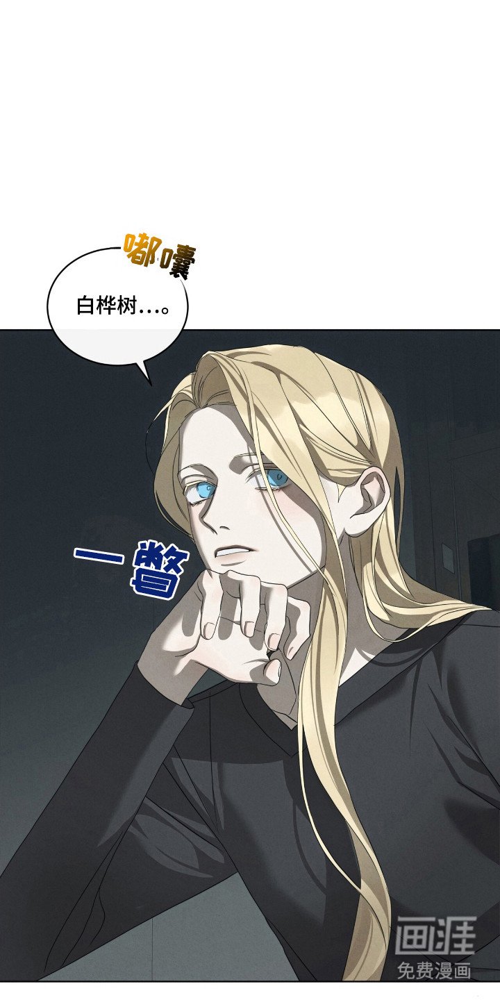第47章：毒蛇交手