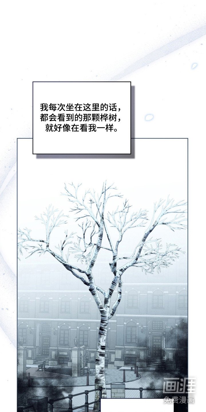 第47章：毒蛇交手