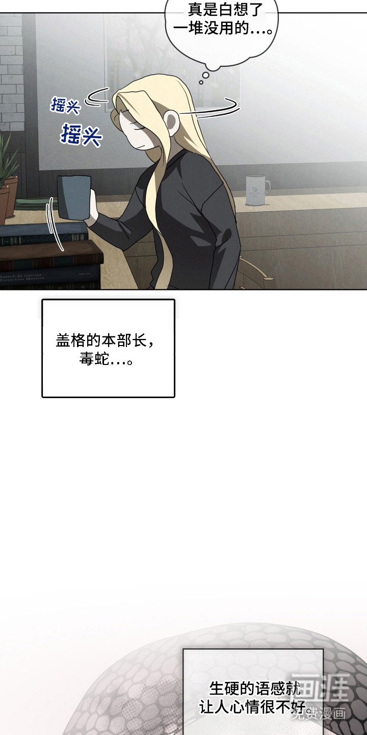 第47章：毒蛇交手