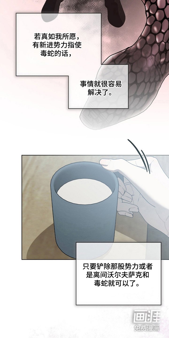 第47章：毒蛇交手
