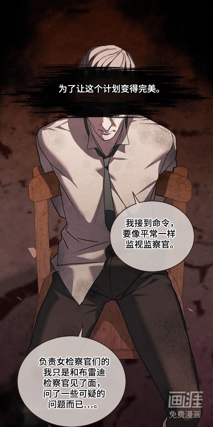 第49章：真正重拳