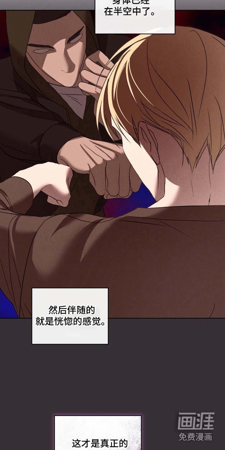 第49章：真正重拳