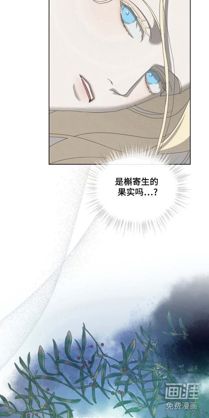 第56章：生与死