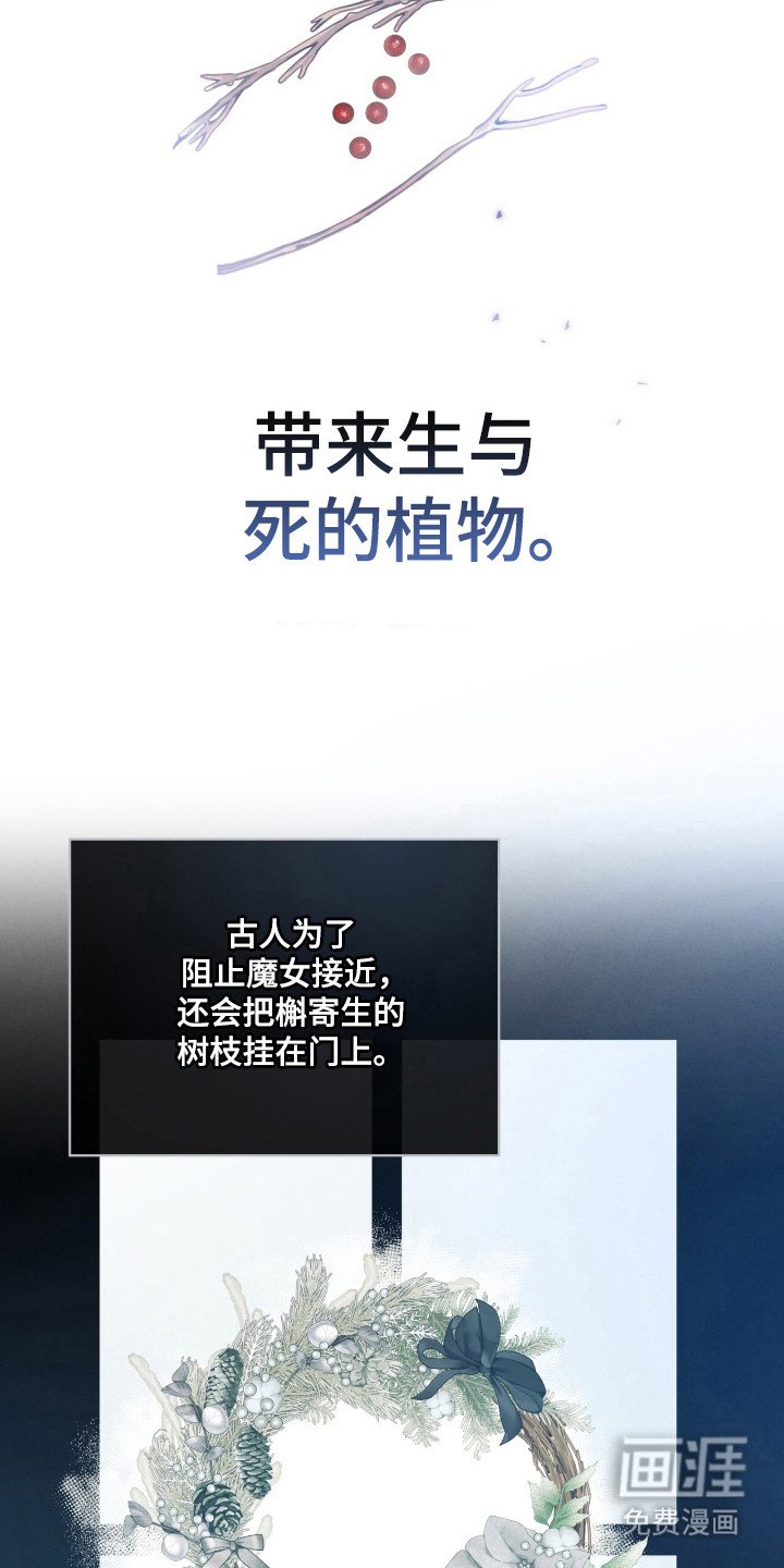 第56章：生与死