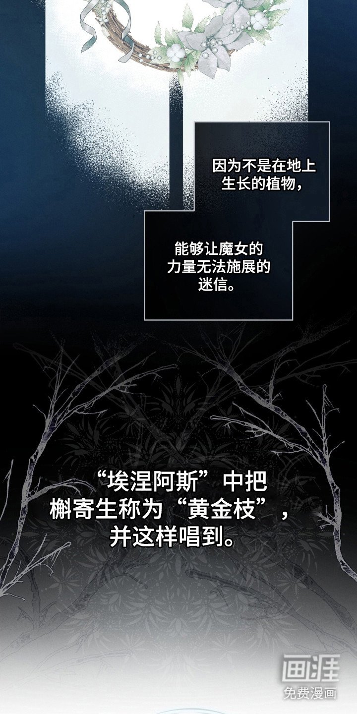 第56章：生与死