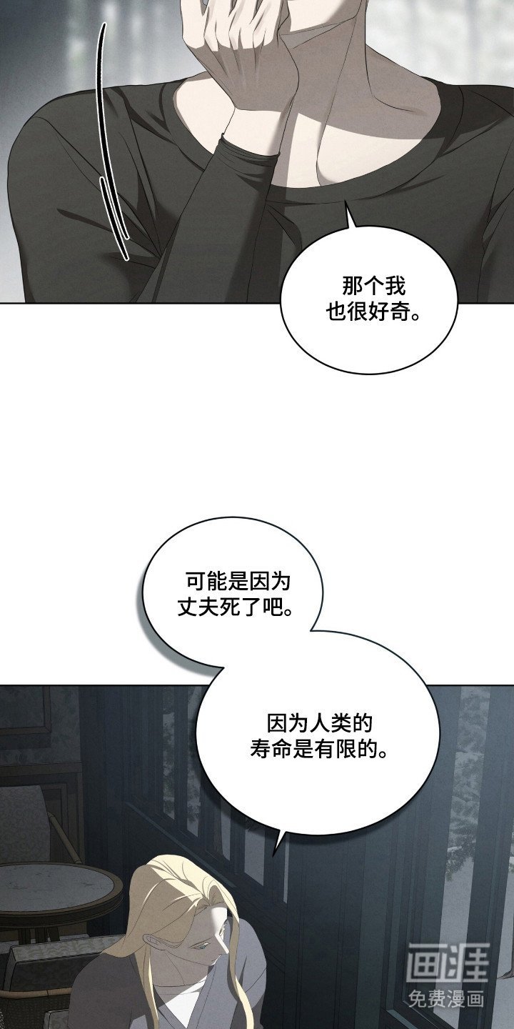 第60章：故事主题