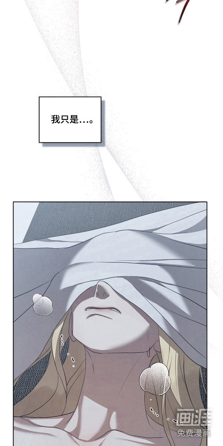 第65章：错觉而已