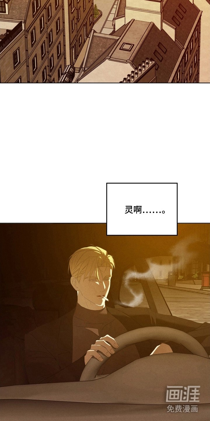 第65章：错觉而已