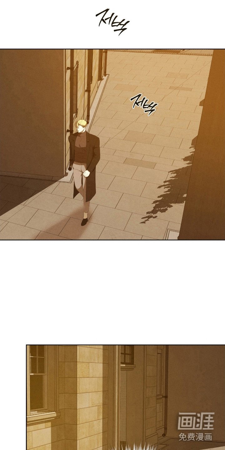 第65章：错觉而已